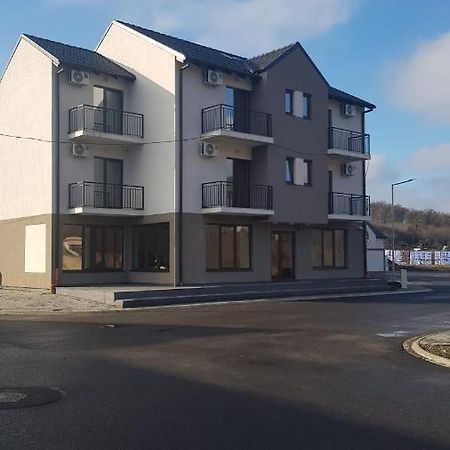 Apartament 1 Budiu Targu-Mures Bagian luar foto