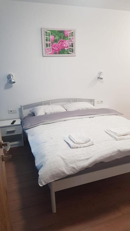 Apartament 1 Budiu Targu-Mures Bagian luar foto